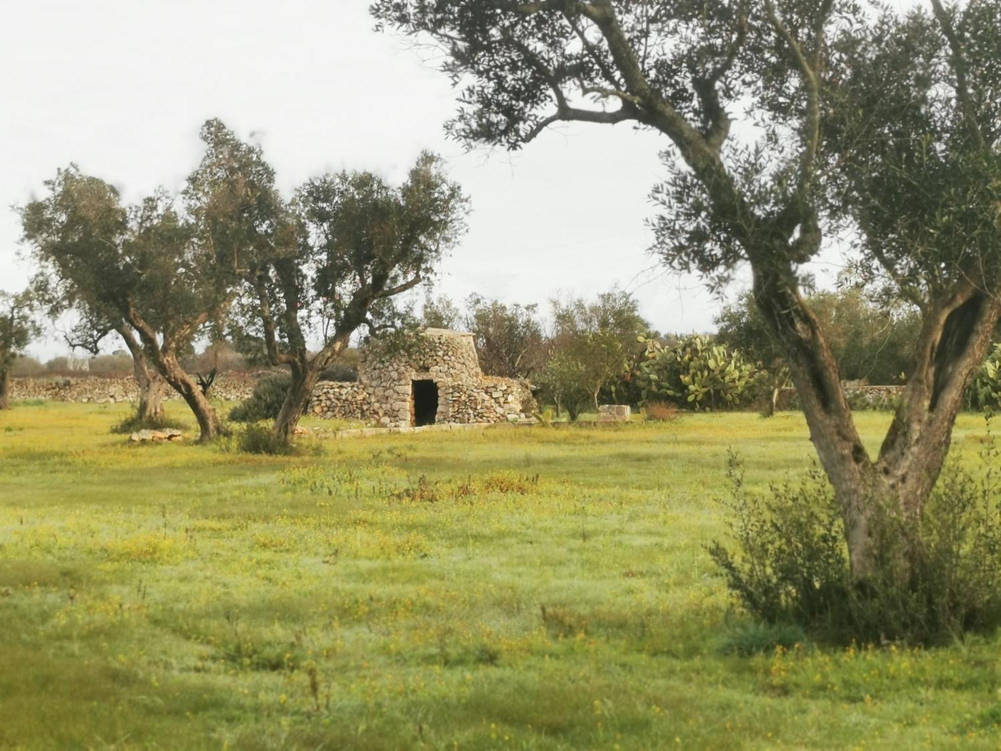 Villa Mios Muro Leccese Exterior photo