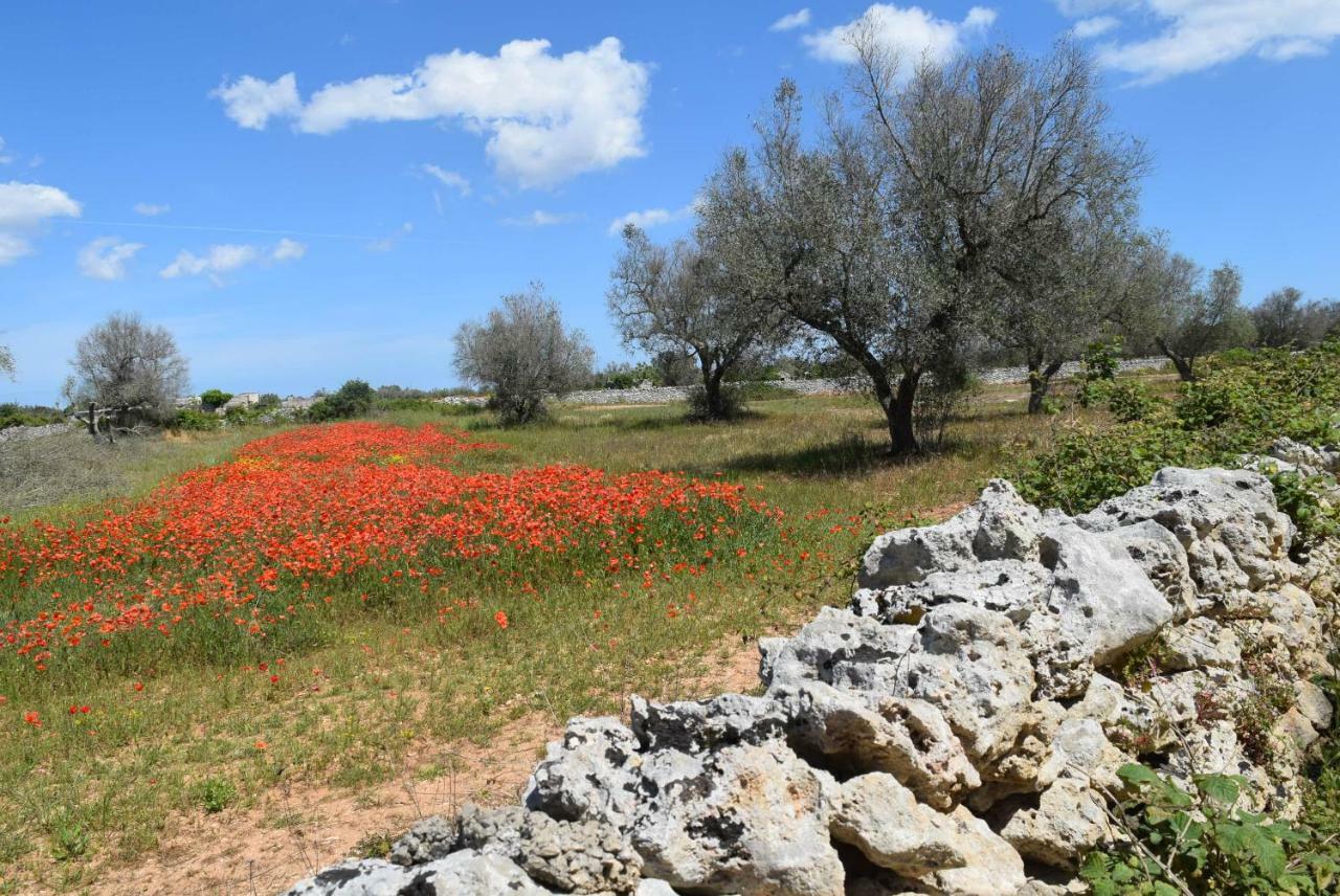 Villa Mios Muro Leccese Exterior photo